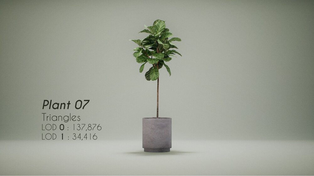 PlantDecorVol.5 