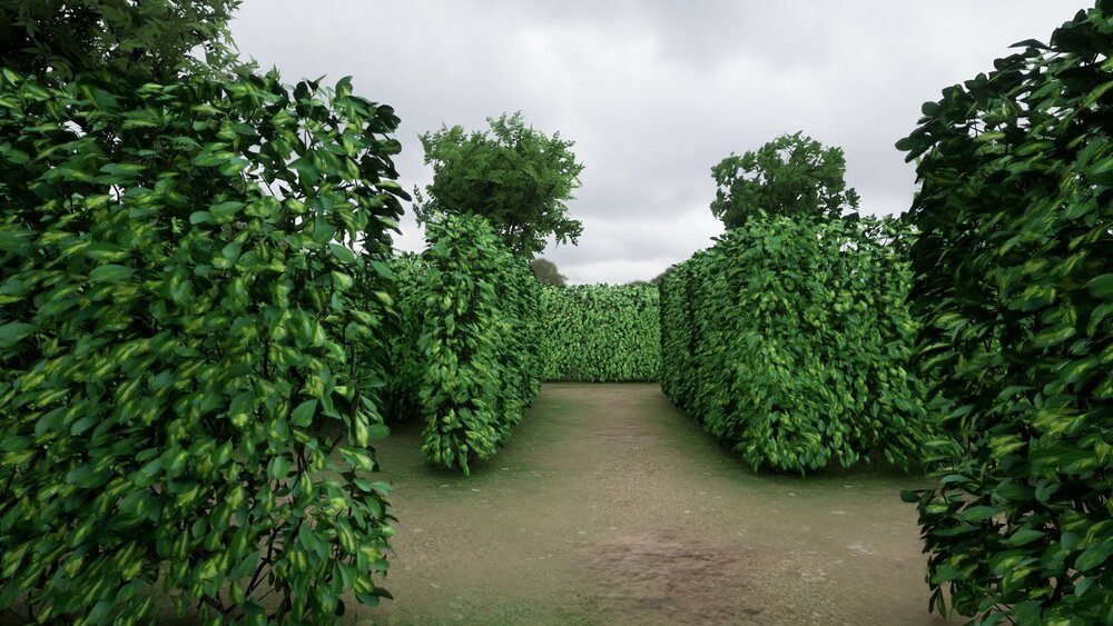 Modular Hedges And Bushes 