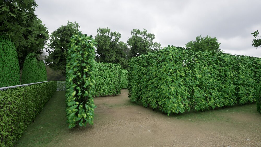 Modular Hedges And Bushes 