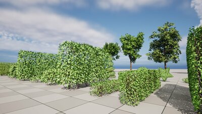 Modular Hedges And Bushes 