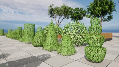 Modular Hedges And Bushes 