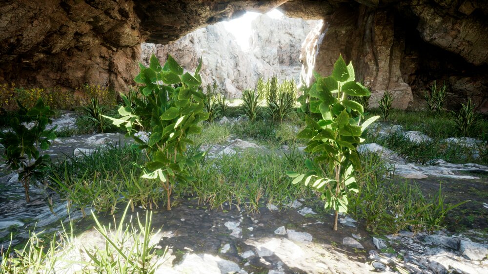 Interactive plants with foliage tool for UE5 (3DVEZ R22) 