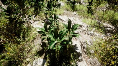 Interactive plants with foliage tool for UE5 (3DVEZ R22) 