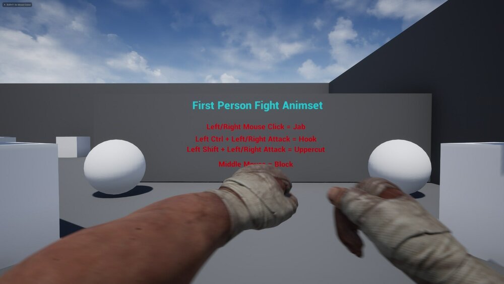 First person brawler animation pack 