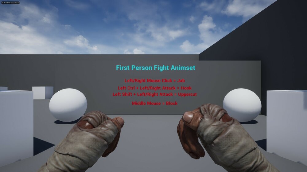 First person brawler animation pack 