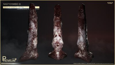 Nastyzombie 01 - Premium Assets + Extra 