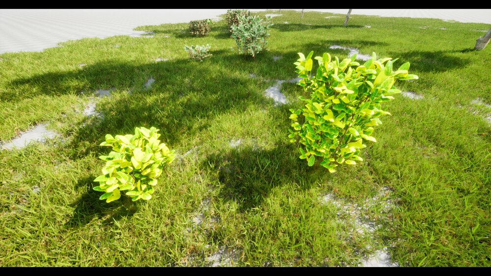 Interactive Bushes Plants (R25) 