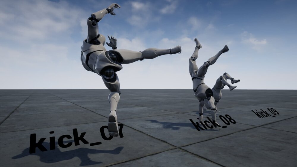 Capoeira Anim Set 