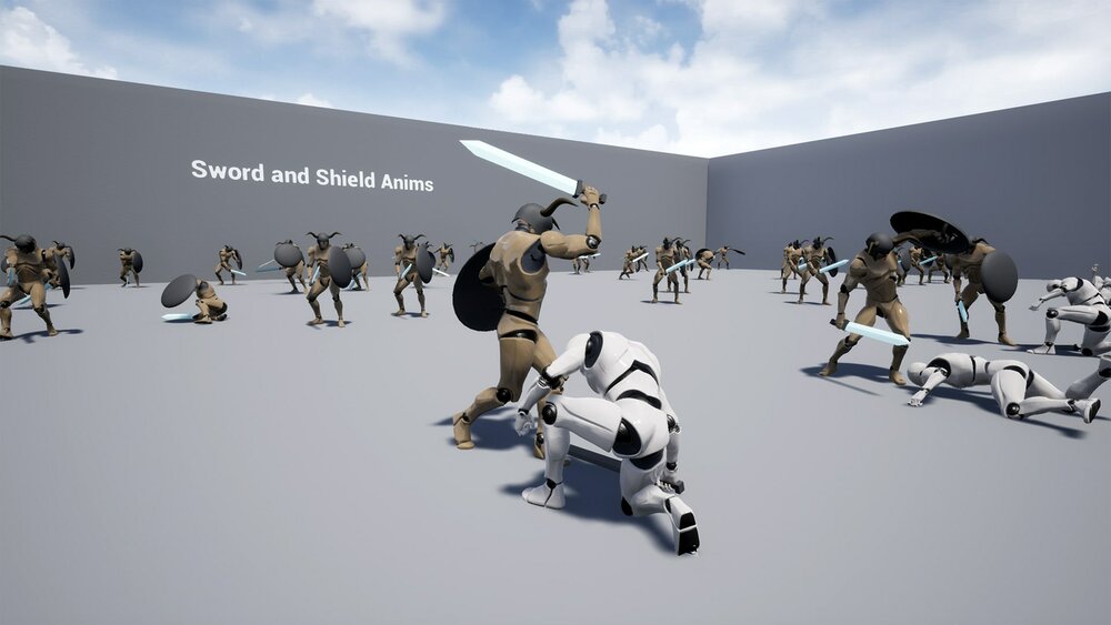 Sword and Shield Anims 