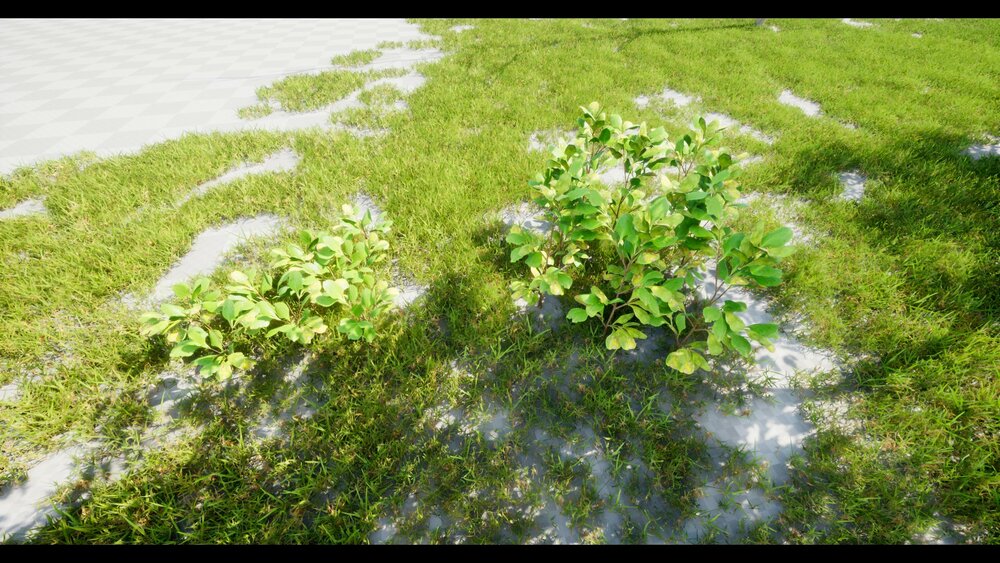 Interactive Bushes Plants (R25) 