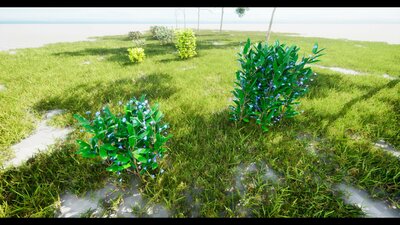 Interactive Bushes Plants (R25) 