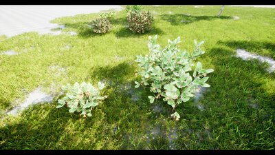 Interactive Bushes Plants (R25) 