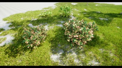 Interactive Bushes Plants (R25) 