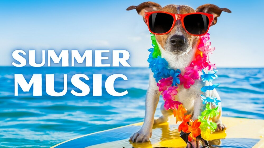 Summer Background Music Pack 