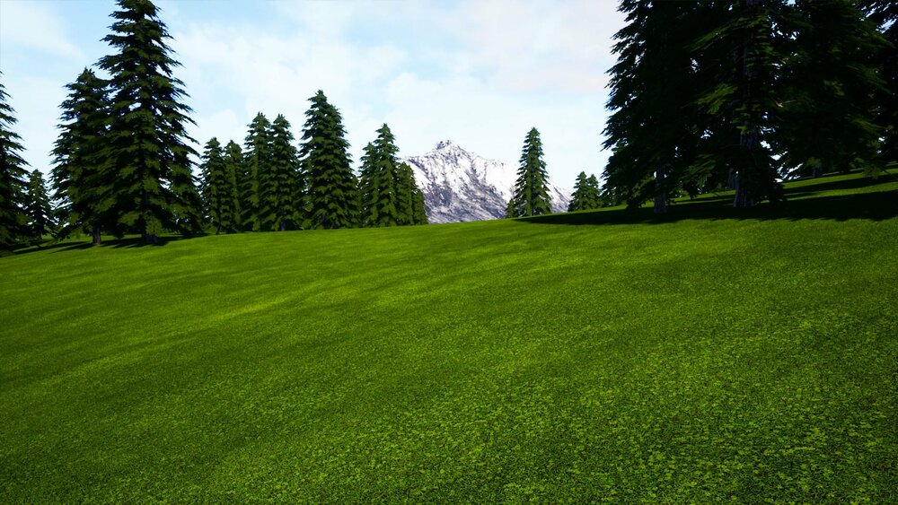 Pro Materials Grass Fields 