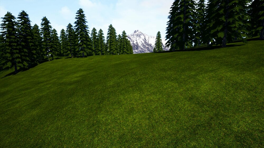 Pro Materials Grass Fields 