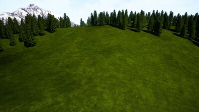 Pro Materials Grass Fields 