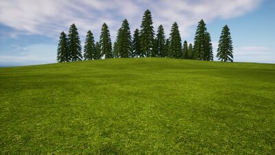 Pro Materials Grass Fields 