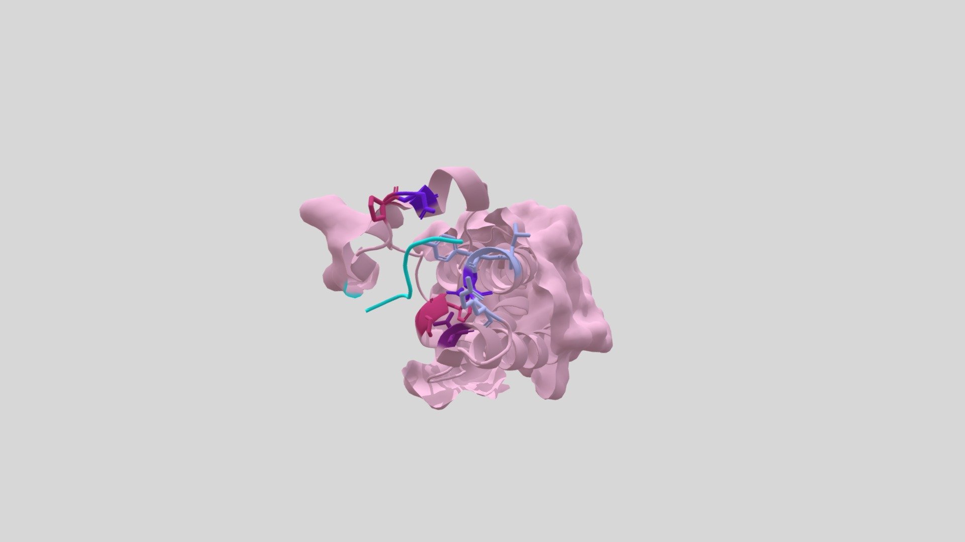 Recognition of acetylated histone by CBP 