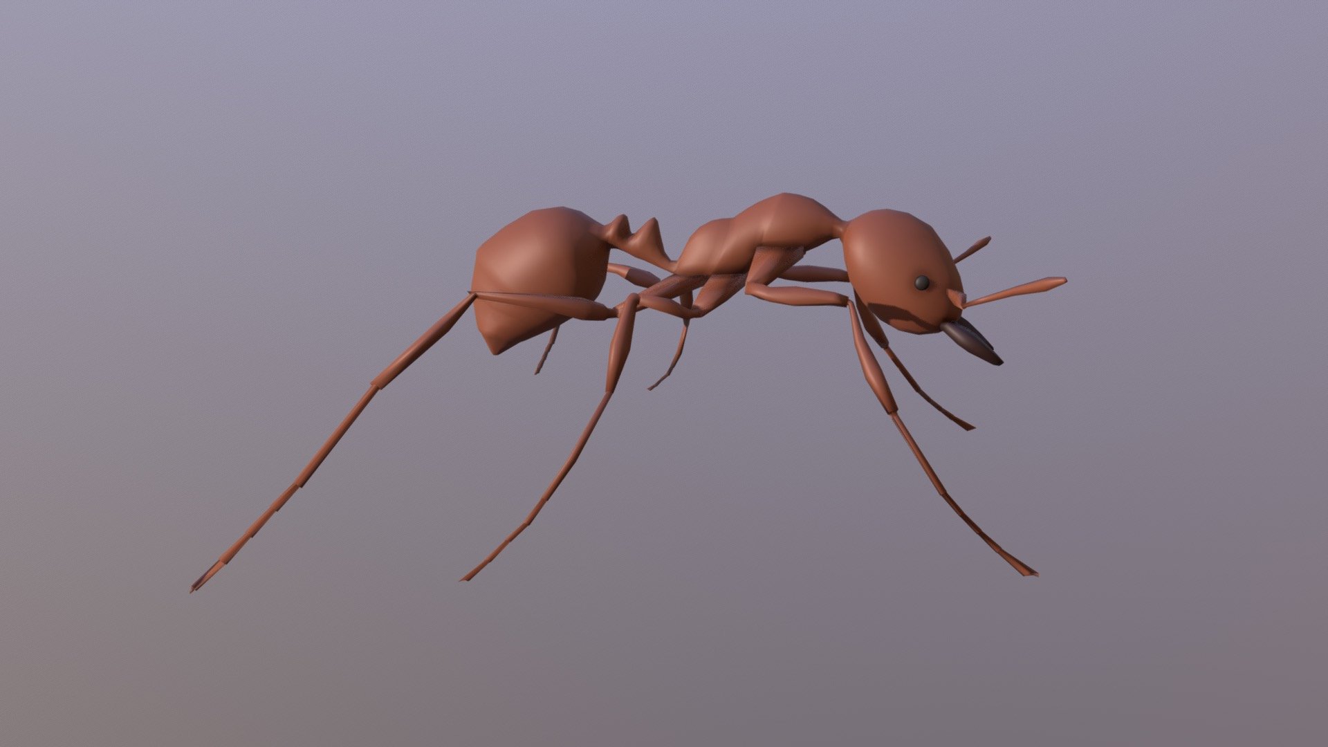 Ant 