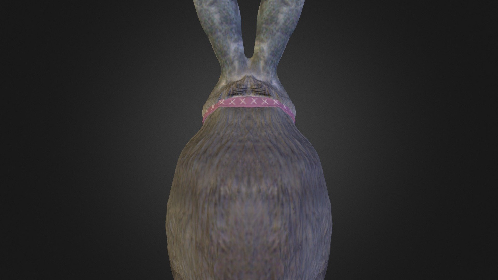 Rabbit1 