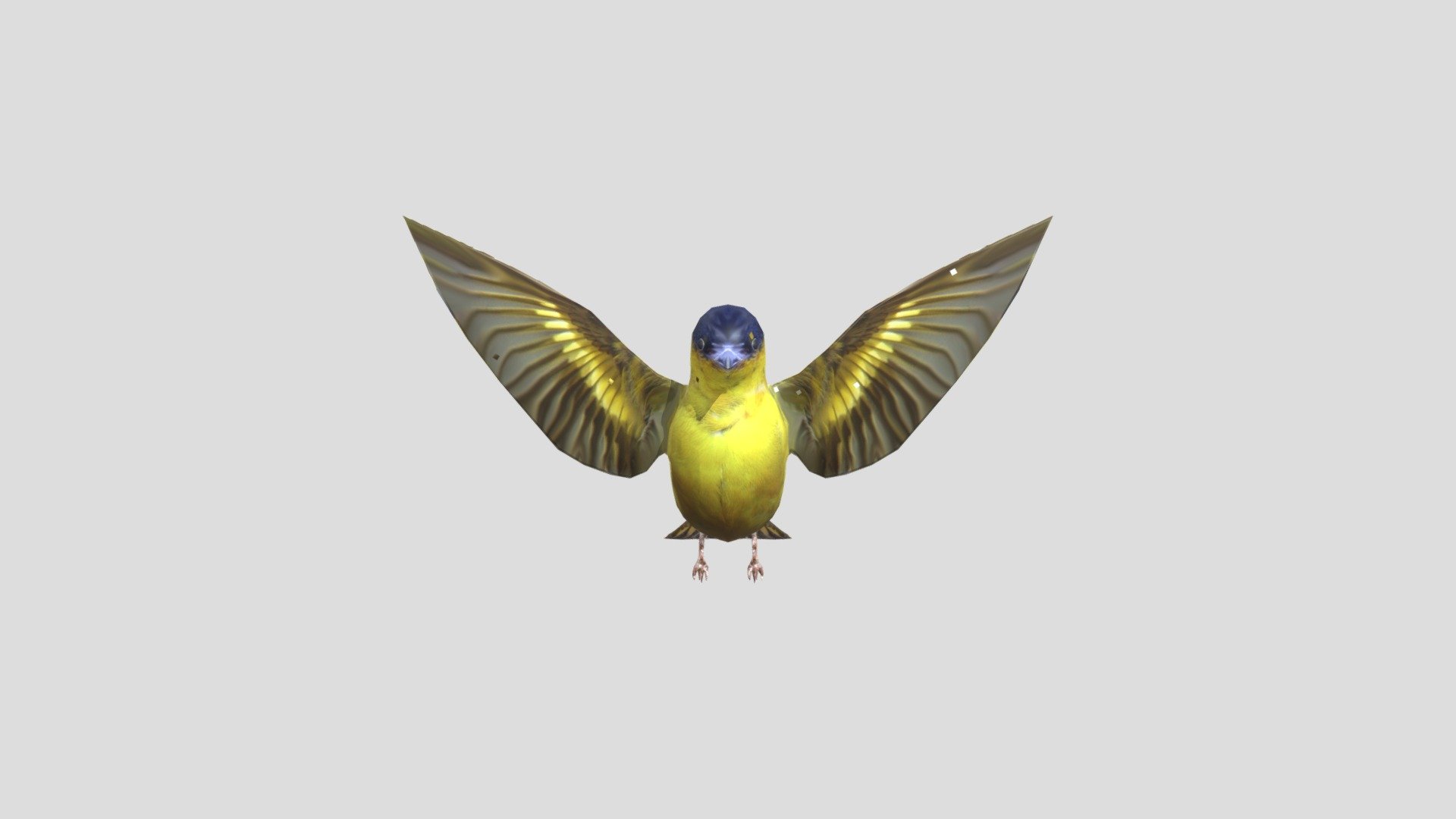 bird1dd 