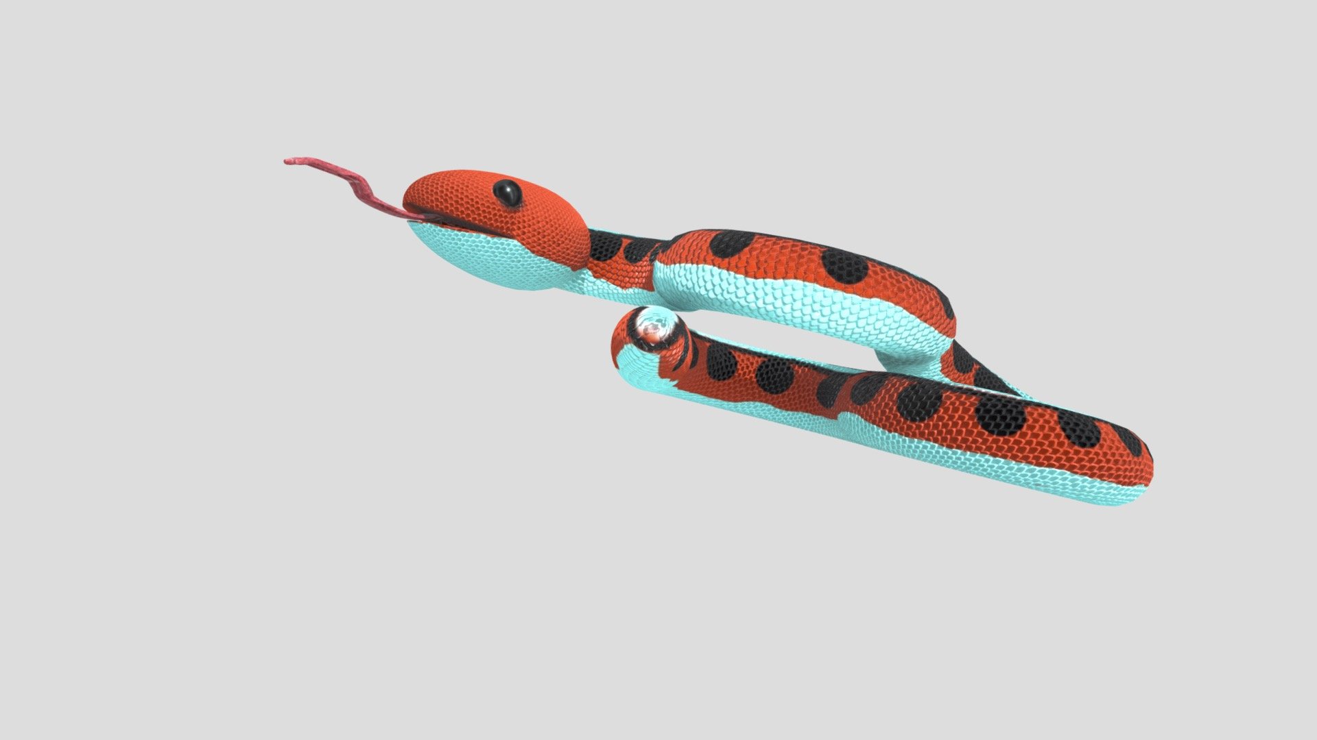 Snake model 