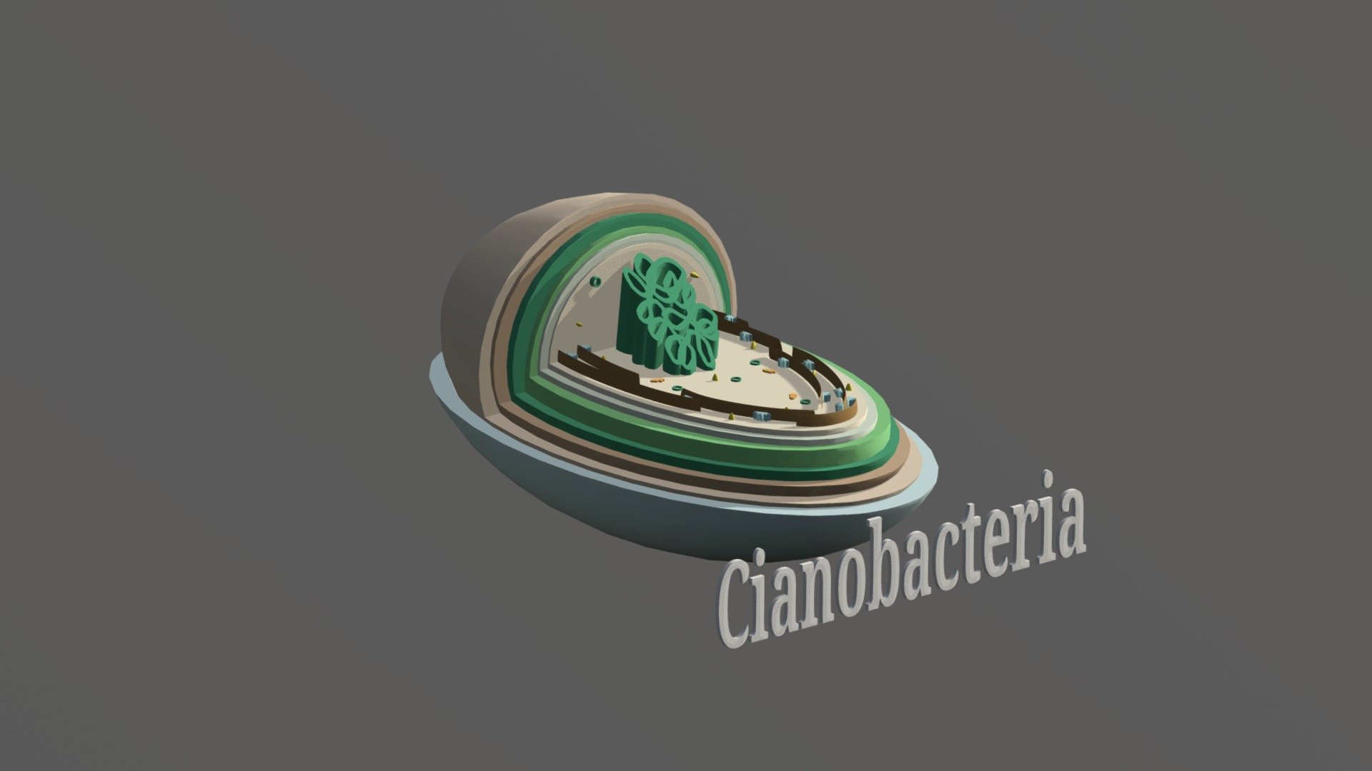 Microughs Cianobacteria Ases Aov 12 5 (1) 