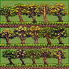 Trees Pixel Art Pack