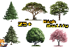 2D realistic Trees