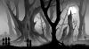 Dark forest background 