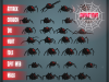 Giant Black Widow Spider Sprites 