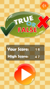 True and False Math Game 