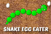 Snake Egg Eater