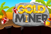 Gold miner