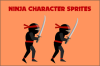 Ninja Character 2D Vector Sprites