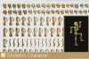 PSRC: Skeleton Character