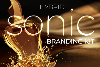 Hybrid Sonic Branding Kit 