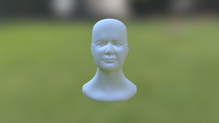 Portrait Brief - Final Retopologised