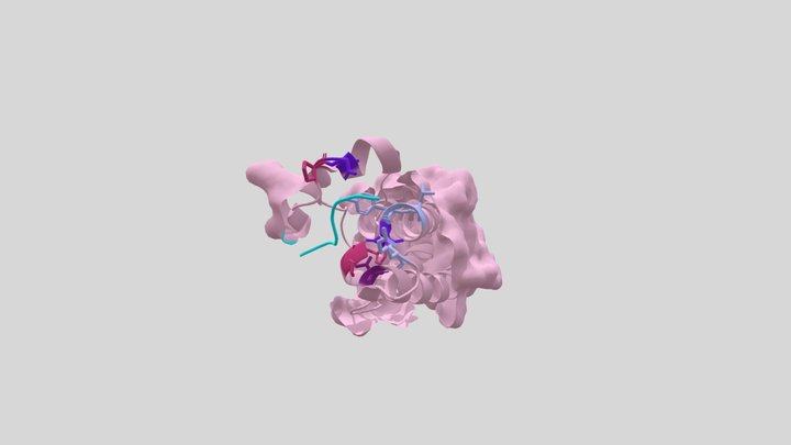 Recognition of acetylated histone by CBP