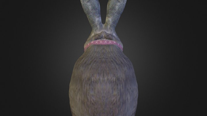 Rabbit1