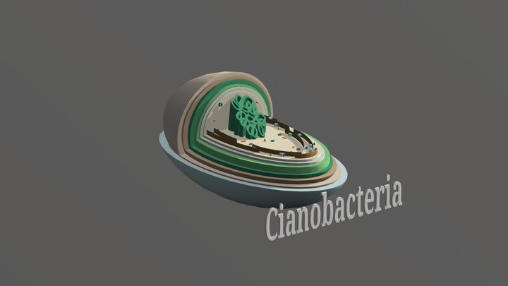 Microughs Cianobacteria Ases Aov 12 5 (1)